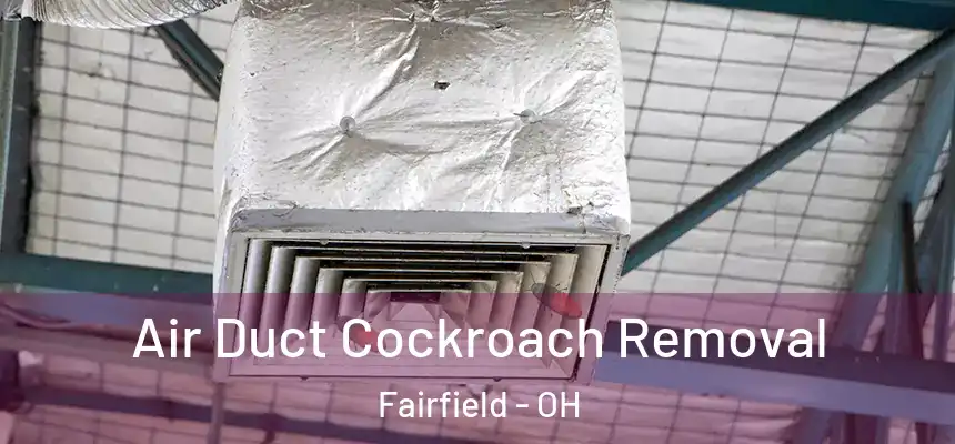  Air Duct Cockroach Removal Fairfield - OH