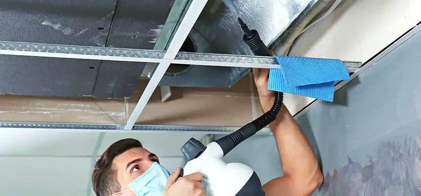 Our Air Duct Rodent Removal Services in Fairfield, OH