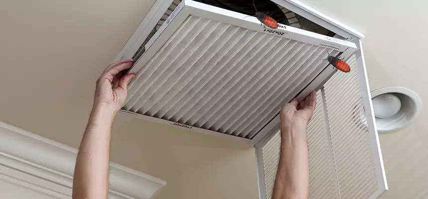 Our Insect Removal from Air Ducts Services in Fairfield, OH