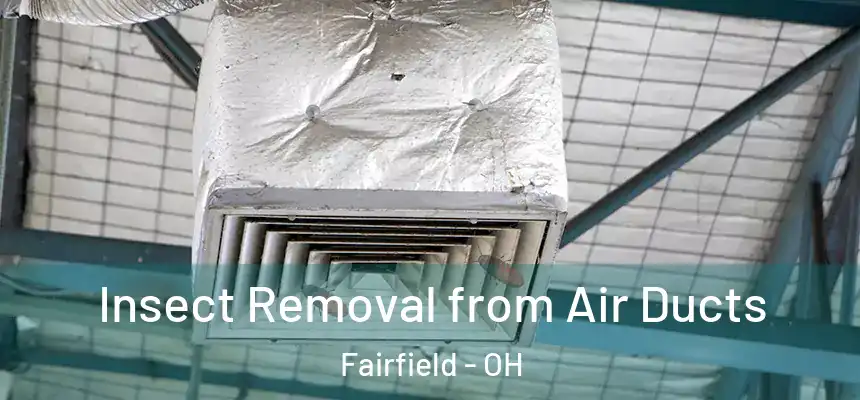 Insect Removal from Air Ducts Fairfield - OH