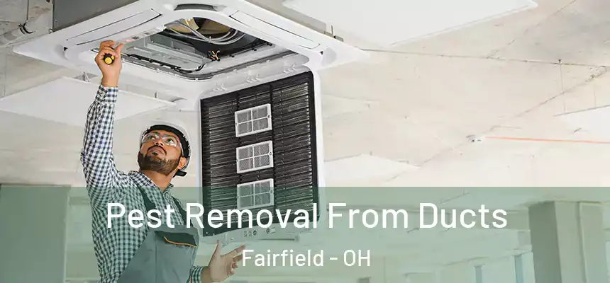 Pest Removal From Ducts Fairfield - OH
