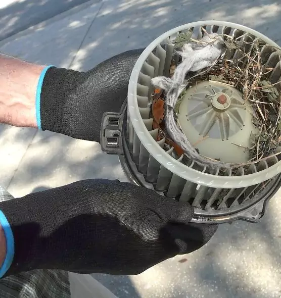 About Air Duct Mice Removal in Fairfield, OH